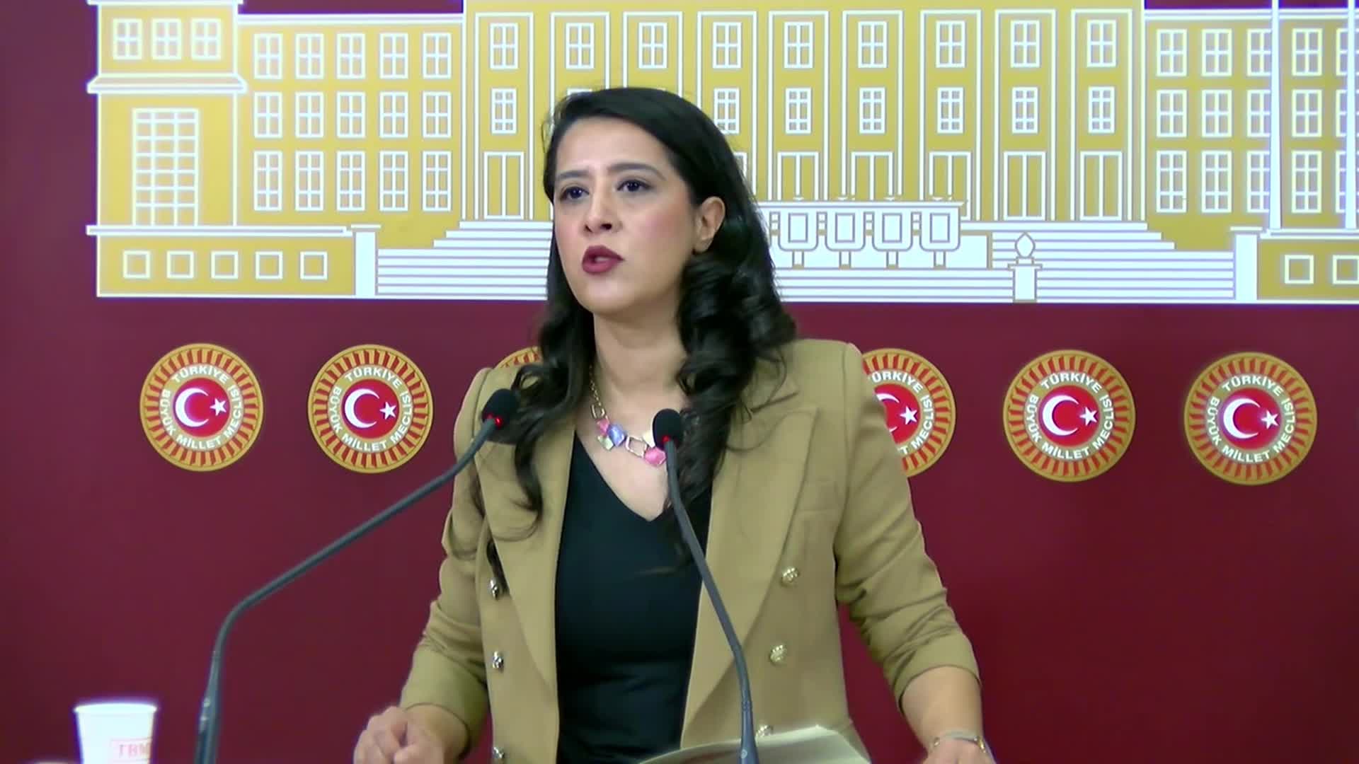 EMEP'li Karaca: "Süper hücre felaketi nedeniyle ürün kaybı yaşayan üreticiler desteklenmeli"