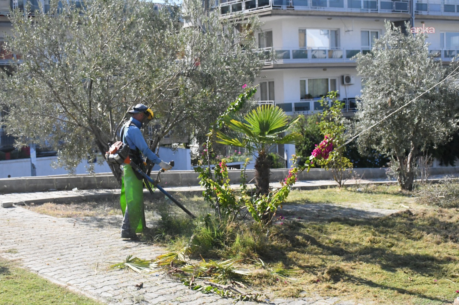 Kuşadası’nın yeşil dokusuna estetik dokunuş