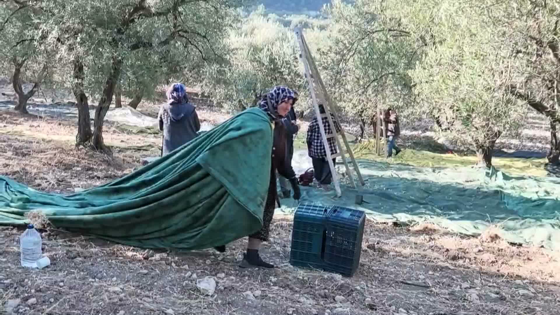 “Cebimde bin lira yok, geceleri teneke topluyorum”