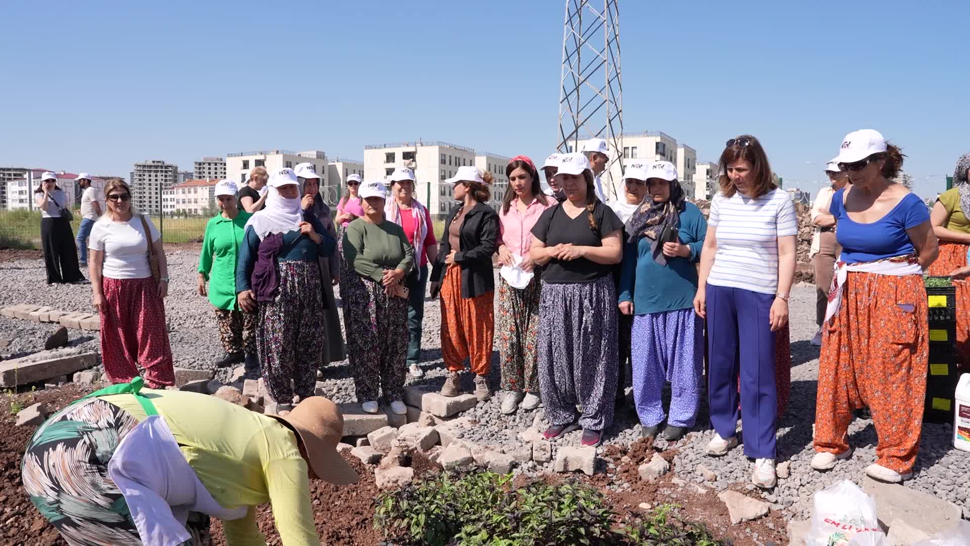 Diyarbakır’da Kadın Komün Bostanı’nda ilk fideler toprakla buluştu