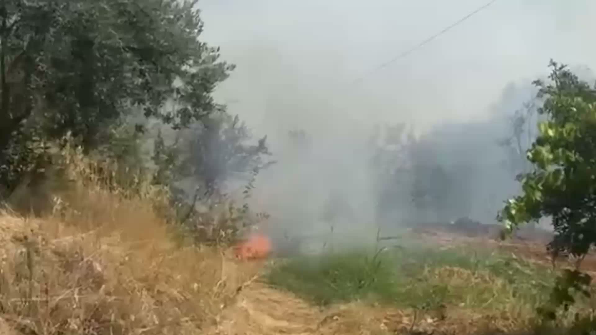 Aydın Karacasu 50 dekar zirai alan kül oldu