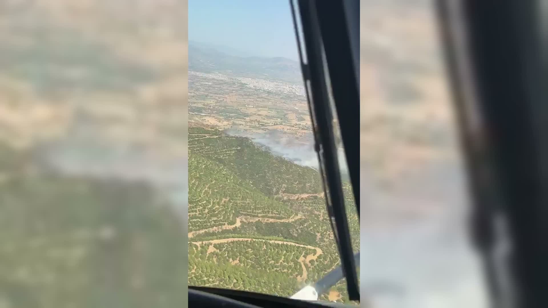 İzmir Ödemiş'te orman yangını