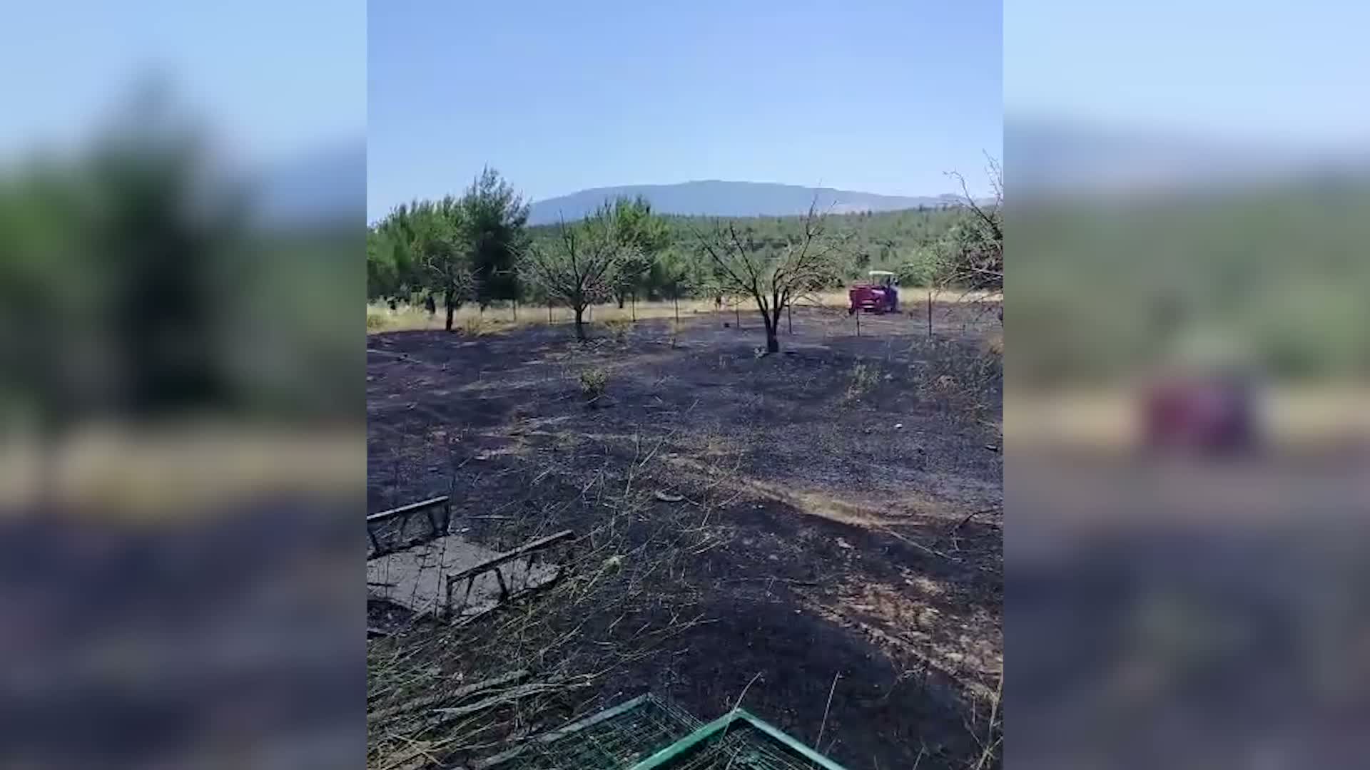 Bornova’da otluk alanda çıkan yangın büyümeden söndürüldü