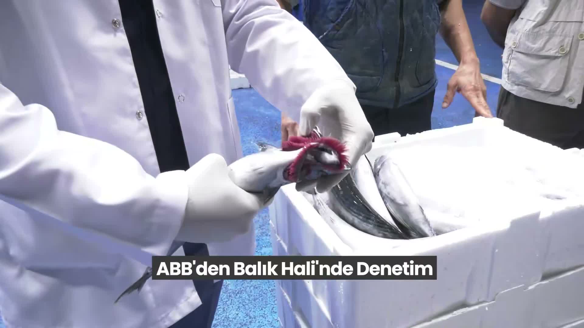 ABB’den Balık Hali’nde denetim: Balıklar tezgâha çıkmadan kontrolden geçiyor