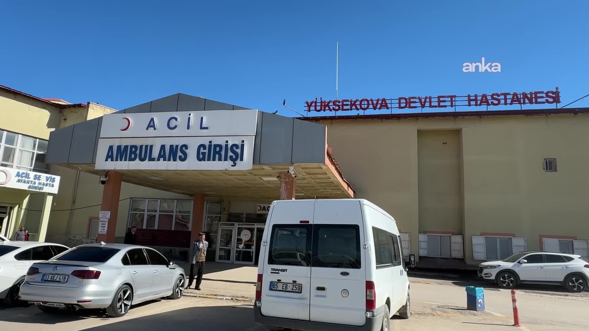 Yüksekova'da meydana gelen patlamada çoban yaralandı, 3 koyun telef oldu