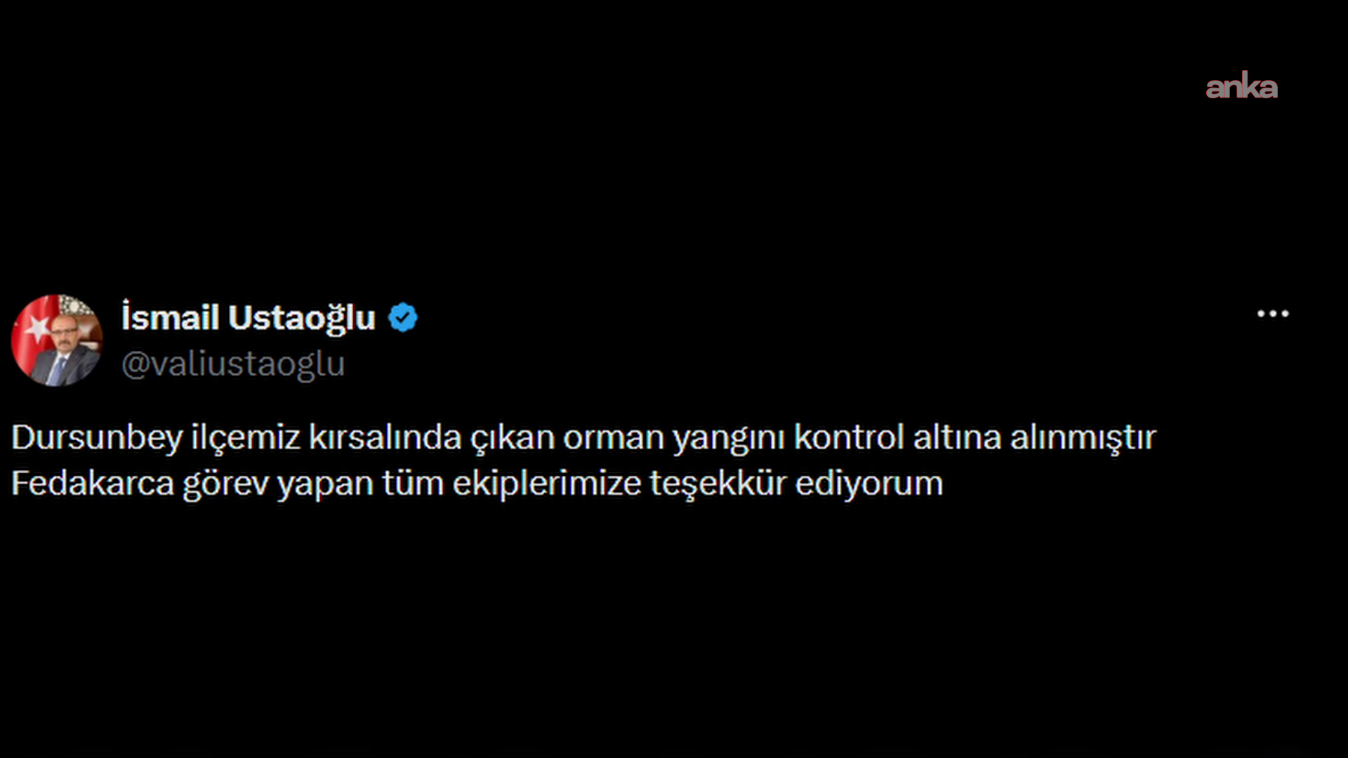Balıkesir Dursunbey’de orman yangını kontrol altına alındı