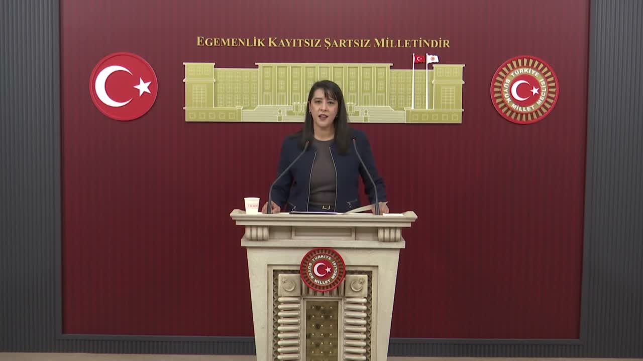EMEP’li Sevda Karaca: Fon vurgununda hesap sorulması yetmez, bu düzen sorgulanmalı