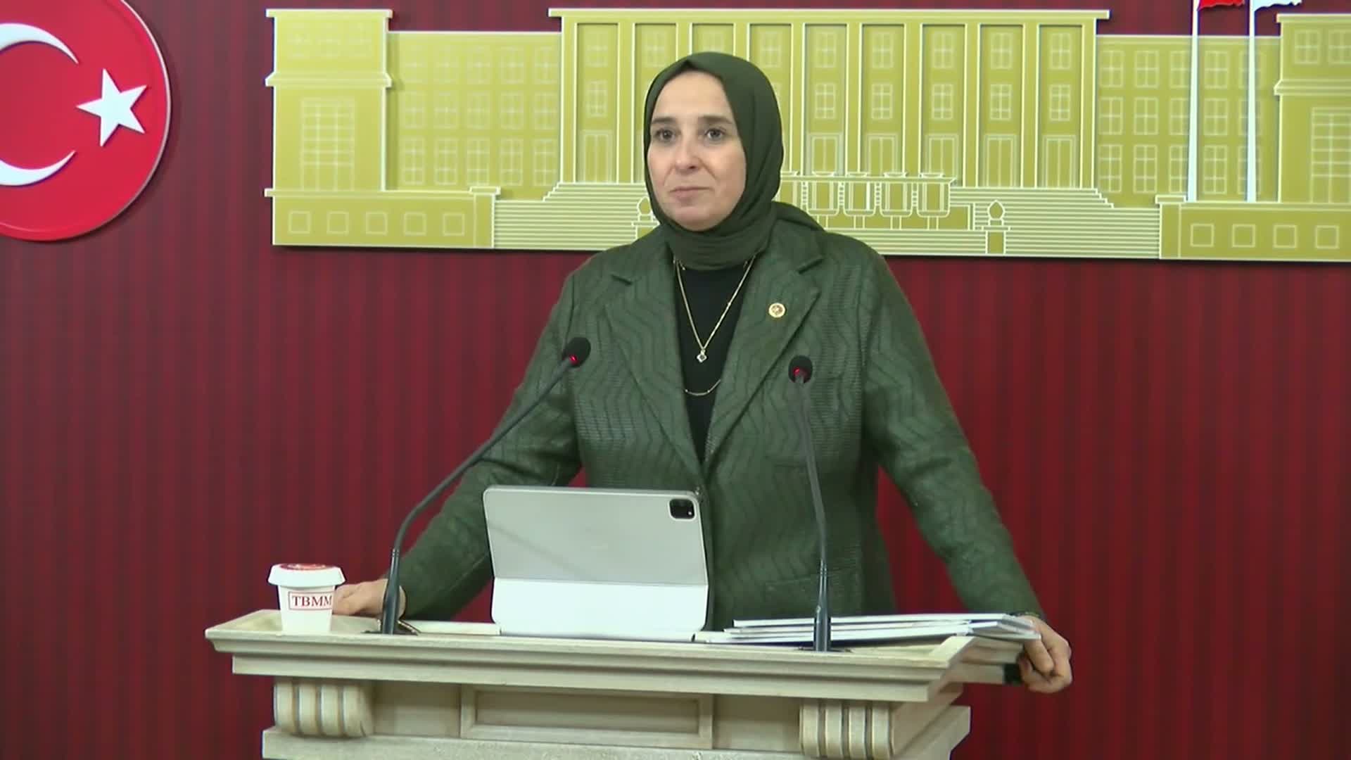 Yeni Yol Milletvekili Esen: "Dumansız hava hakkı kanunla güvence altına alınmalı"