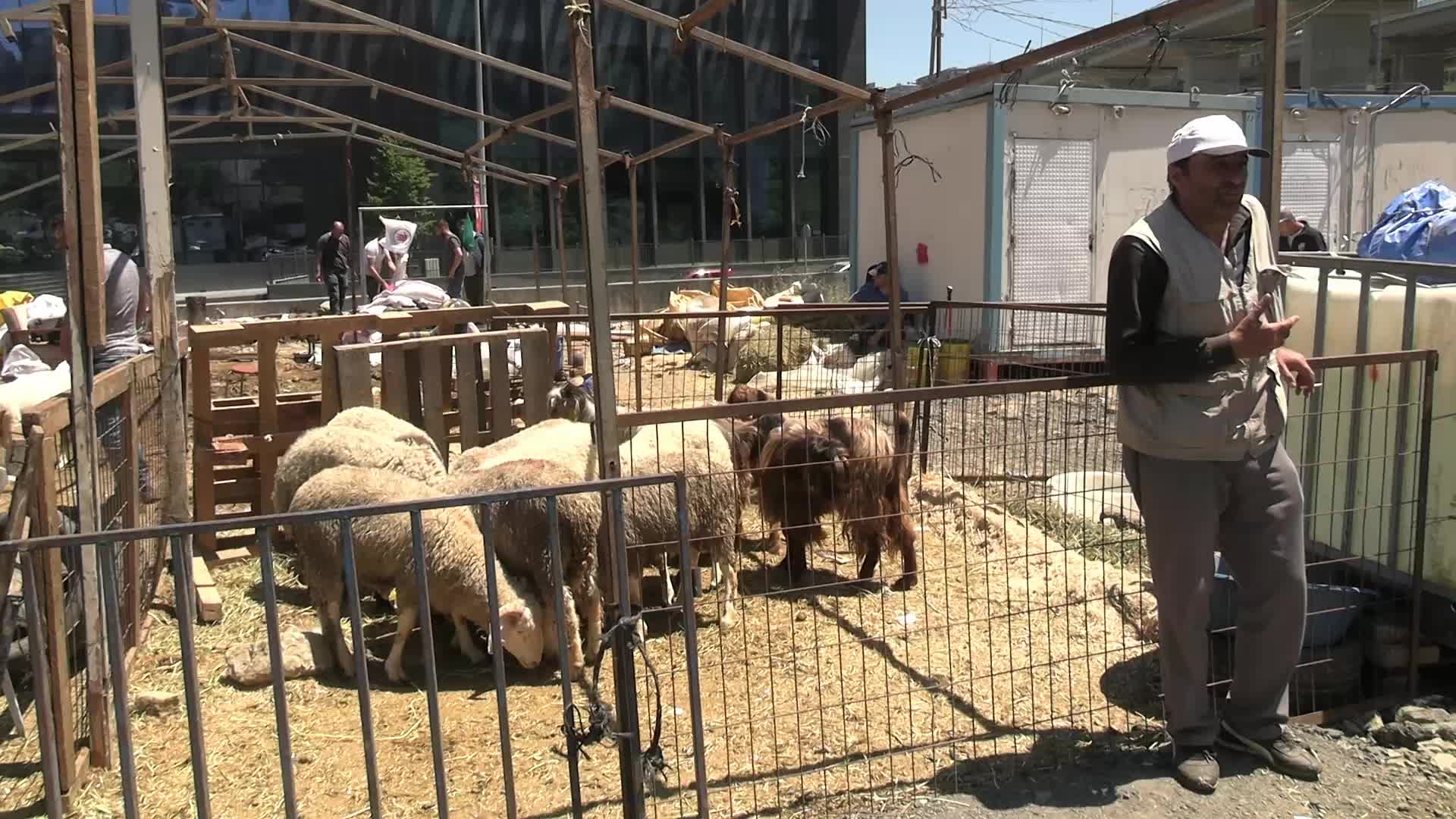 Kurban pazarında satışlar beklentinin altında kaldı, besiciler zarar ederek dönüyor: “Yüzümüz gülüyor gibi görünse de kalbimiz kırık”