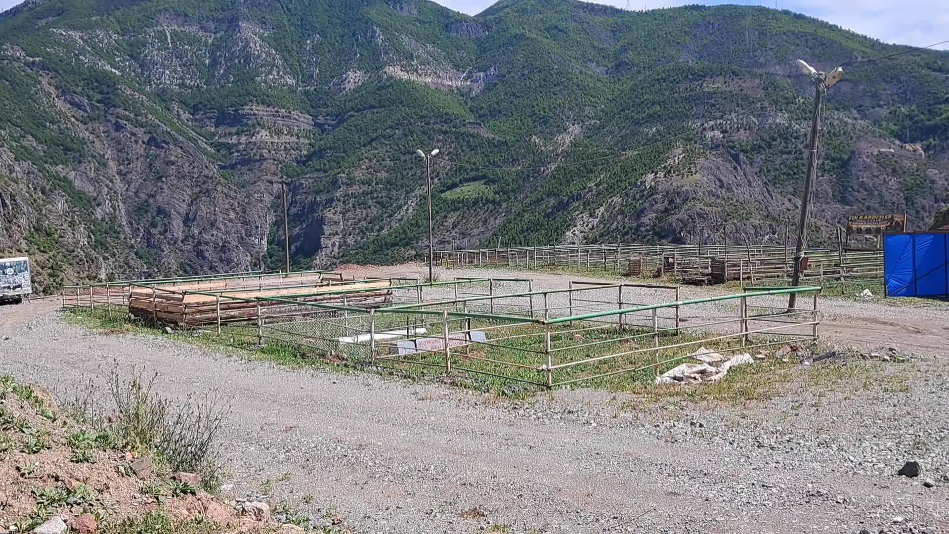 Artvin'de kurban pazarı boş kaldı... Satıcı da yok alıcı da