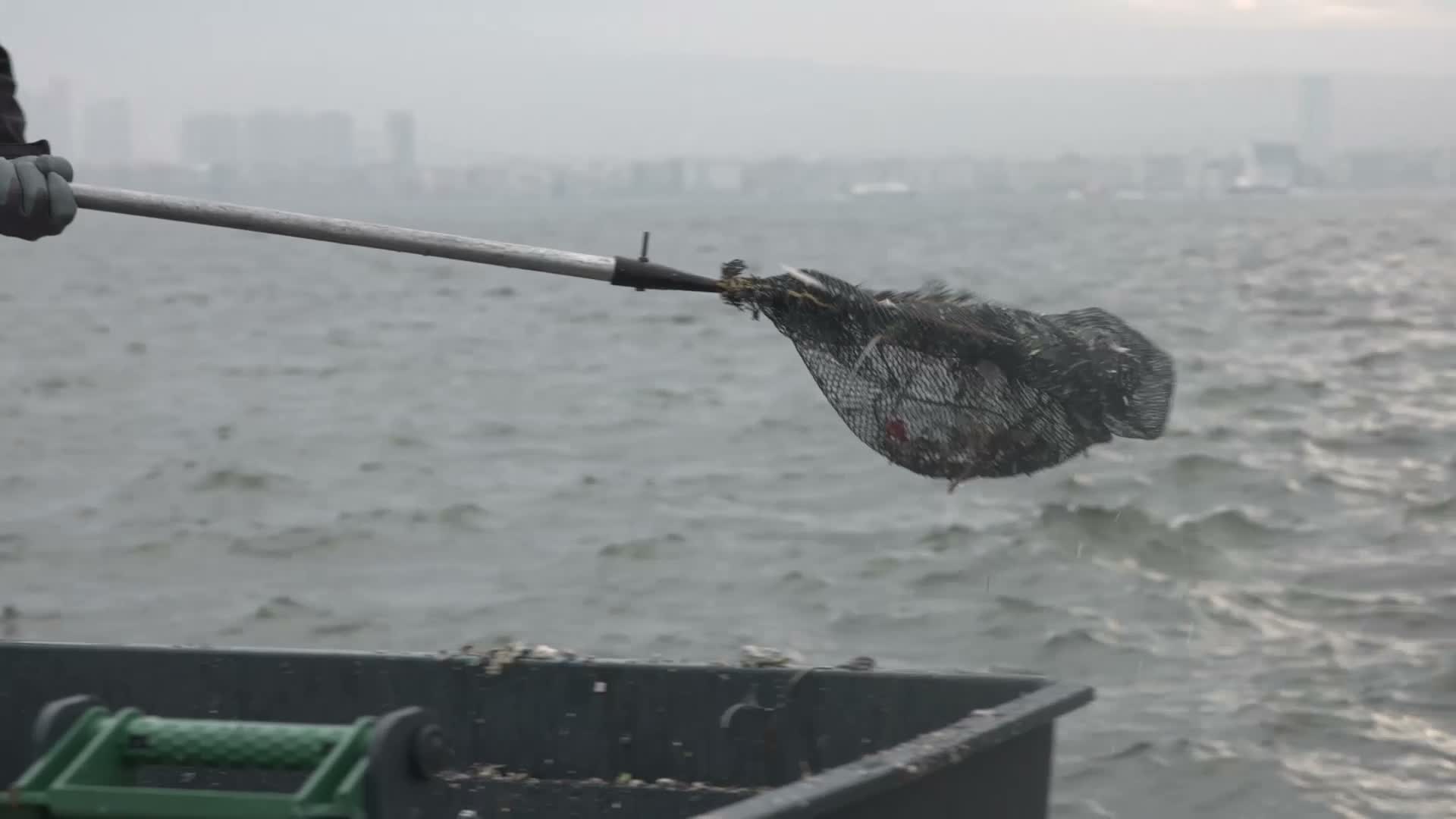 İzmir Körfezi'nden yılda ortalama "bin 500 ton atık" çıkarılıyor