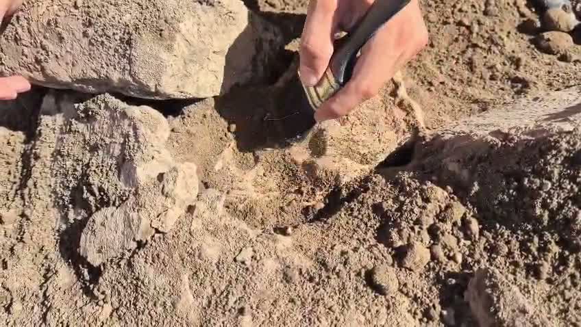 Bakan Ersoy: "Tavşanlı Höyük kazılarında yaklaşık dört bin yıllık pati izleri bulduk"
