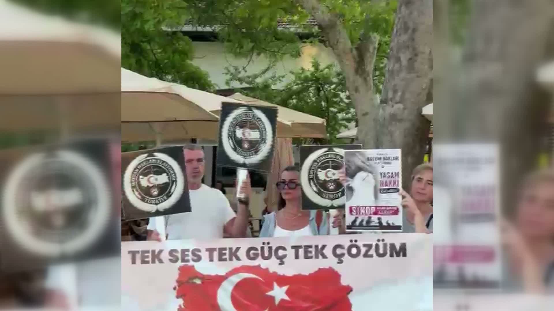 Sinop Hayvan Hakları Platformu : "Sokak canları sahipsiz değildir"