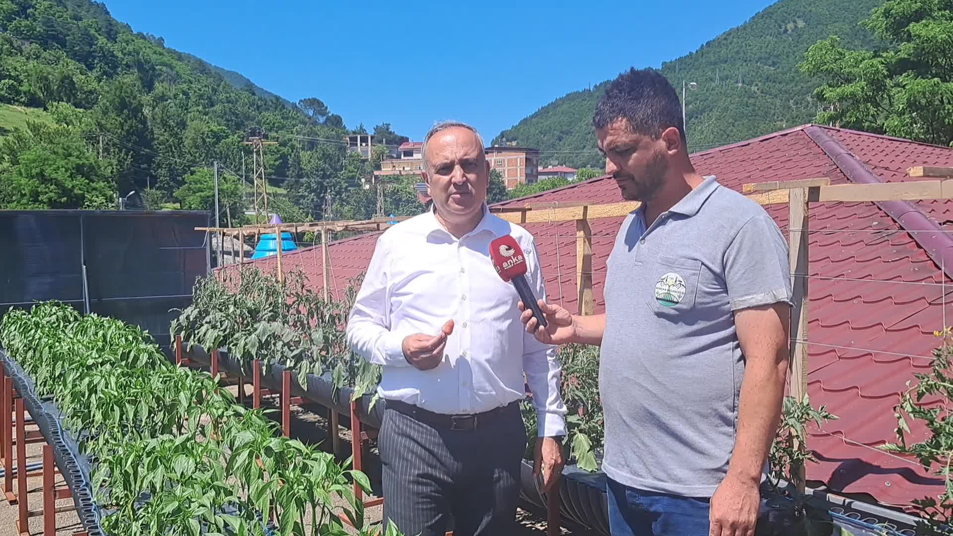 Artvin’de çatıda tarım faaliyeti