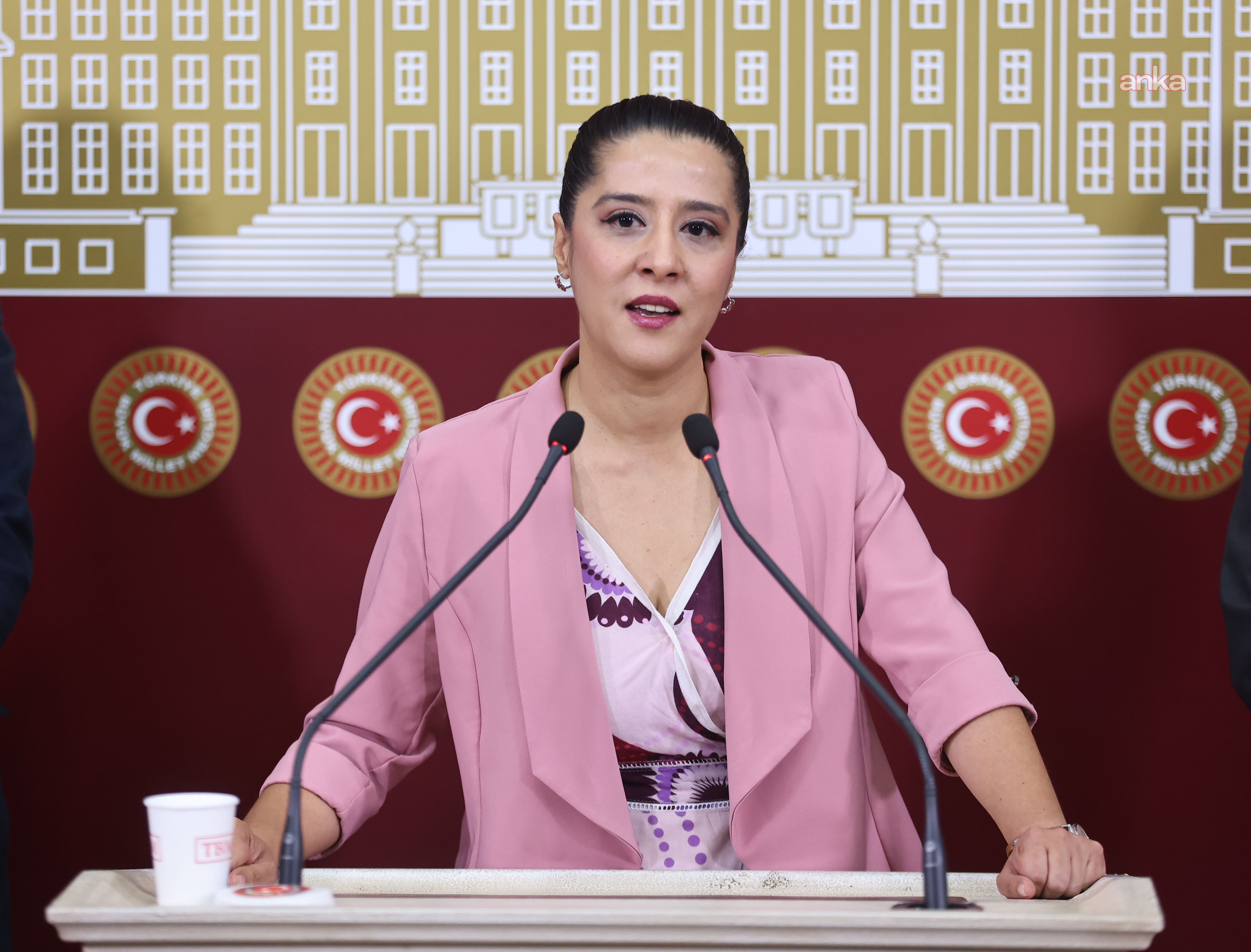 EMEP'li Karaca, işçilerinin direnişini TBMM gündemine taşıdı