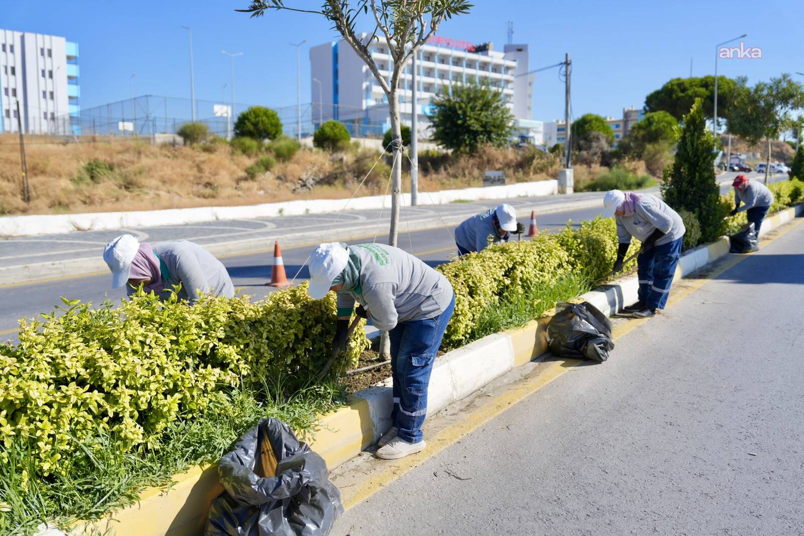 Burhaniye'de "sonbahar" mesaisi: Parklardan oyun alanlarına kapsamlı bakım
