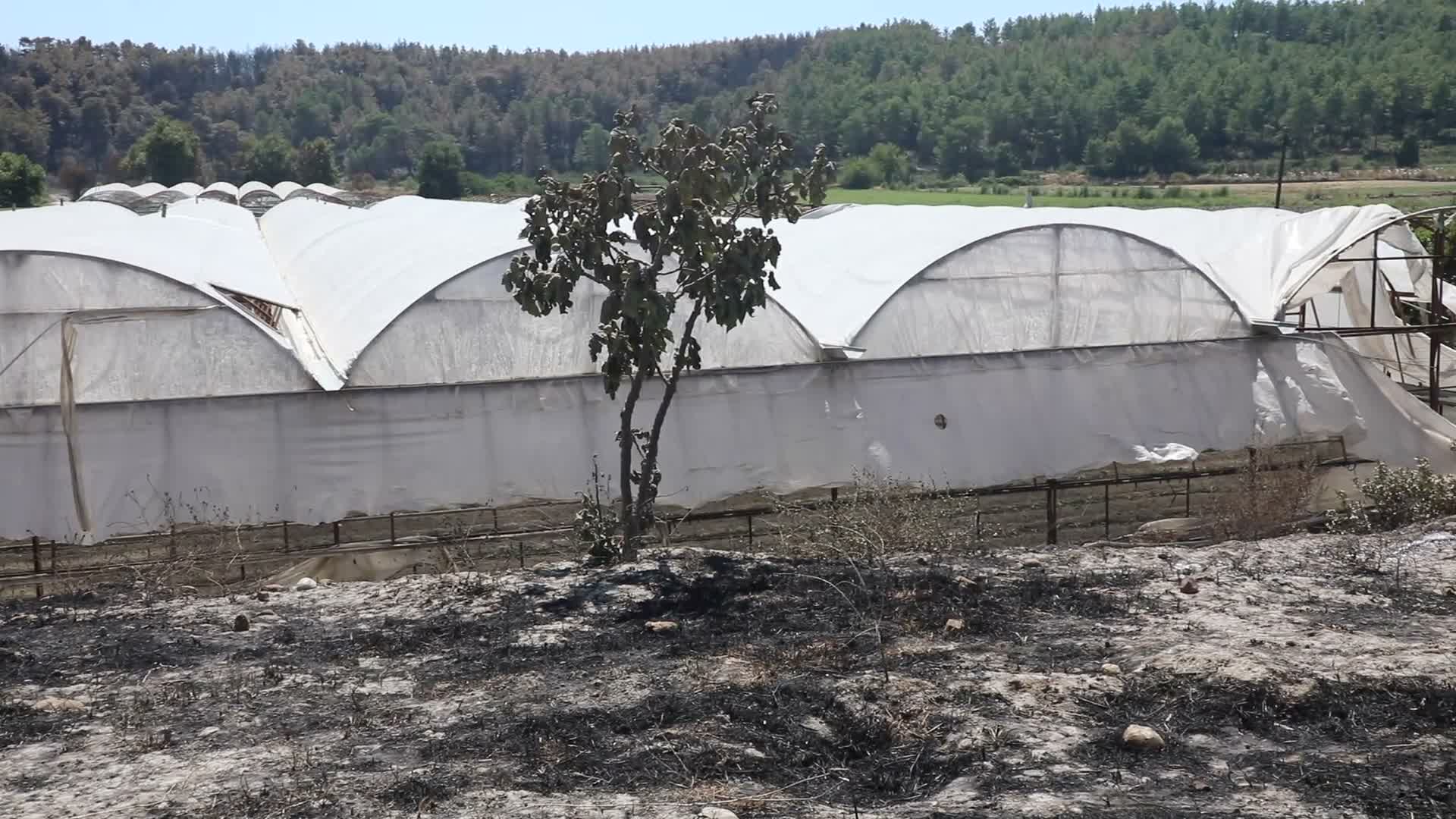 Muğla Büyükşehir Belediyesi'nden Seydikemer’deki yangında serası zarar gören üreticiye destek