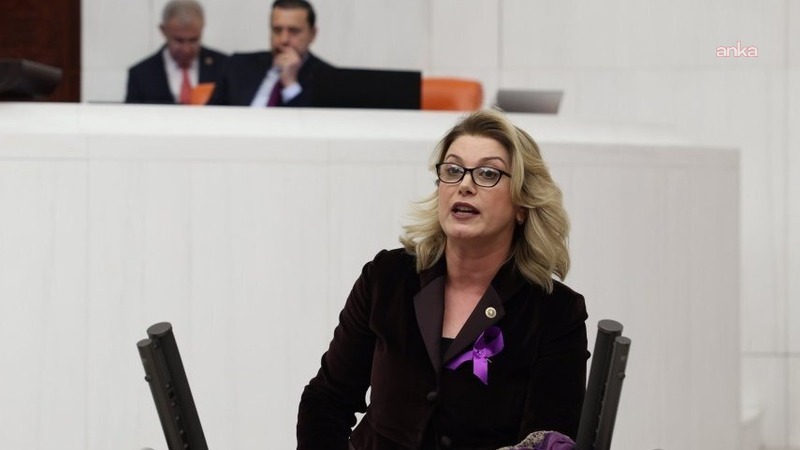 CHP’li Asu Kaya, Olukbaşı Yaylası’ndaki yıkımları Meclis gündemine taşıdı