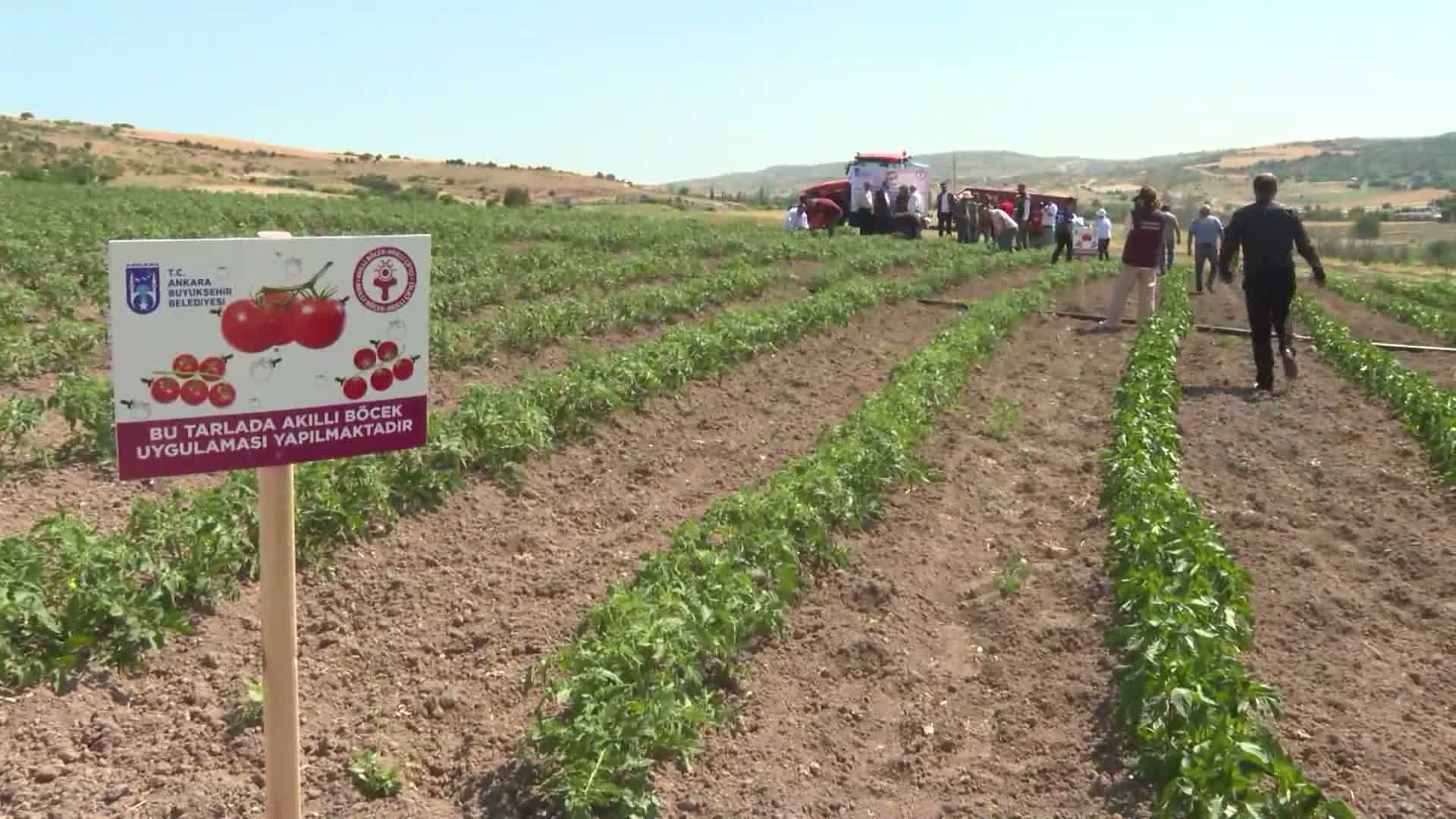 Ankara Büyükşehir Belediyesi'nden üreticiye "Akıllı Böcek Kiti" desteği
