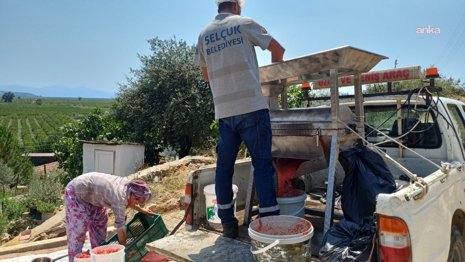 Efes Selçuk Belediyesi’nden kışlık salça hazırlıklarına makine desteği