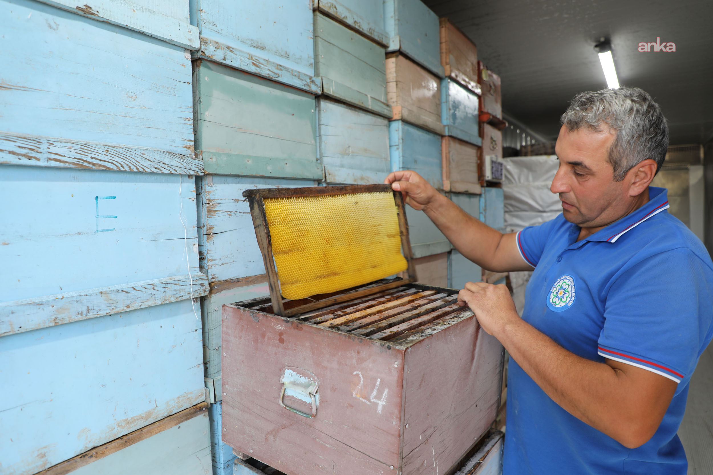 Muğla Büyükşehir Belediyesi, arı üreticilerine yönelik desteklerini sürdürüyor