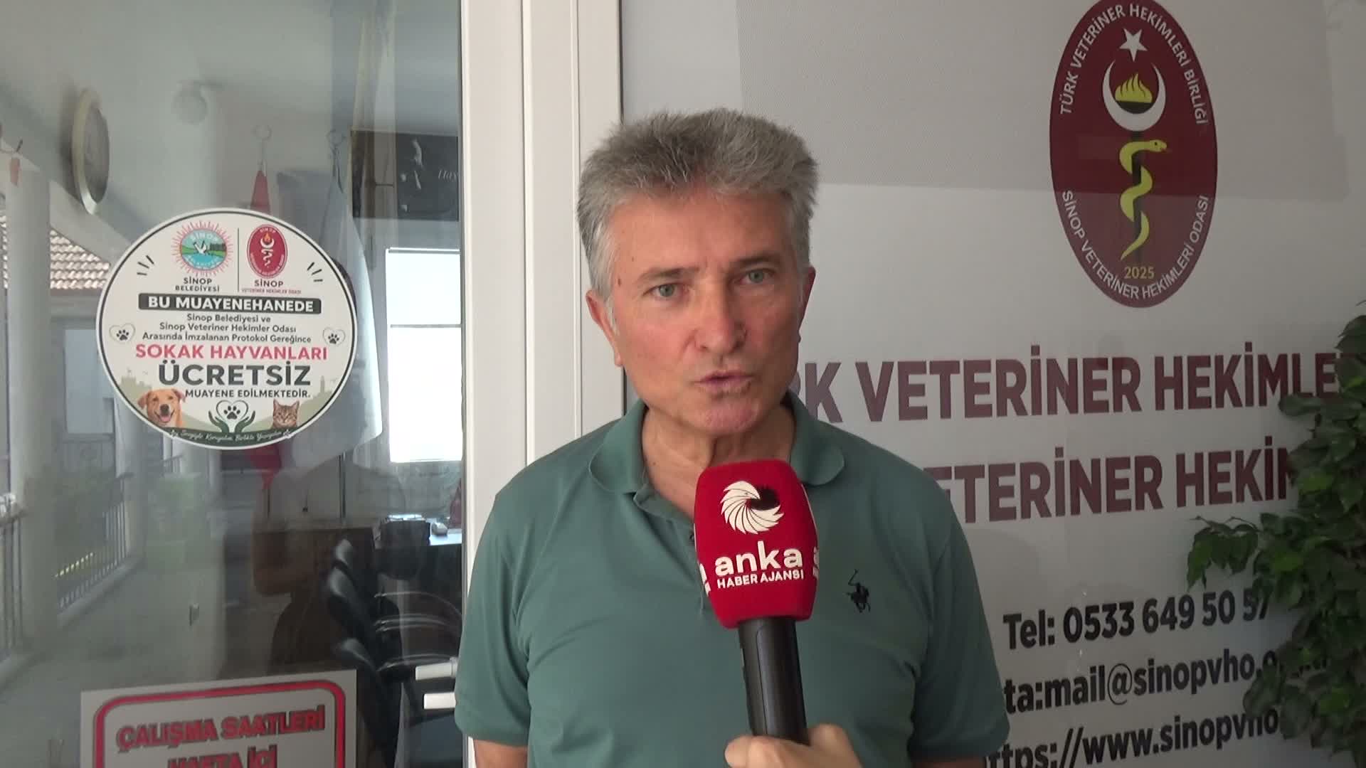 Sinop’ta sahipsiz hayvanlar için “Sosyal Yardım Projesi” başlatıldı