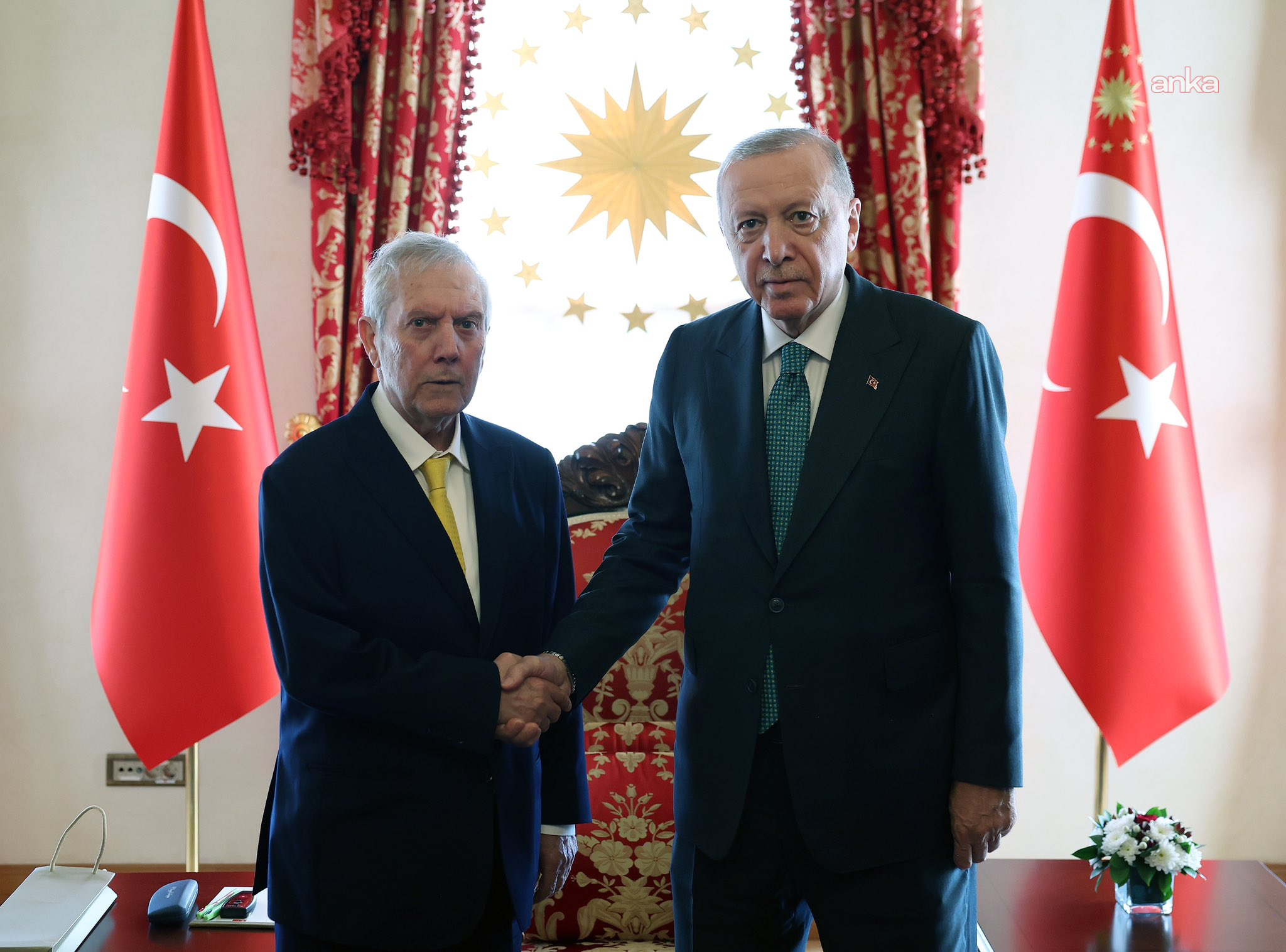 Cumhurbaşkanı Erdoğan, Fenerbahçe Spor Kulübü Başkanı Yıldırım'ı kabul etti
