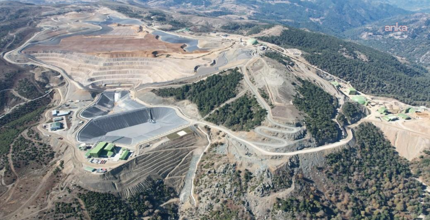 Altın madeni için "ÇED olumlu" kararı: Madra Dağı'nda 66 bin ağaç kesilecek