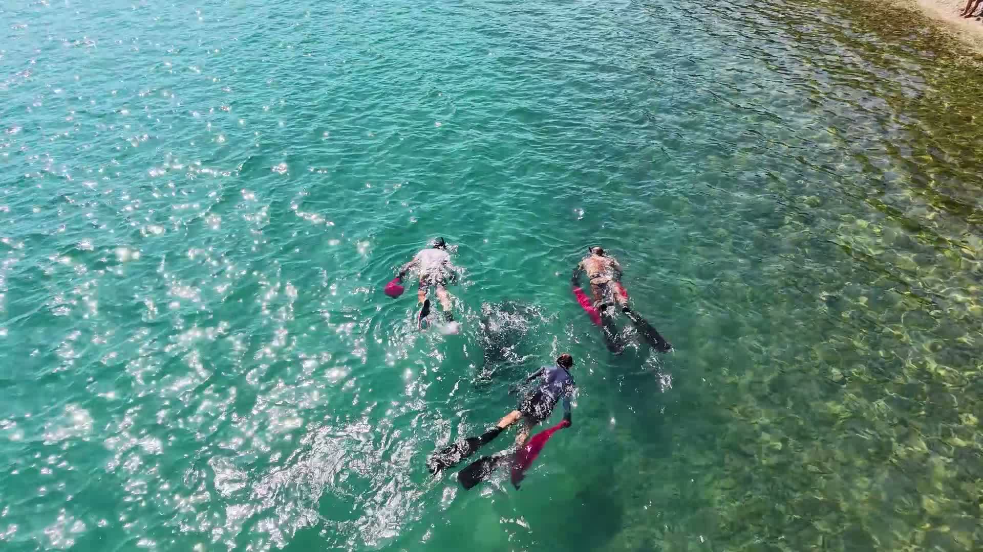 Bodrum Belediyesi'nden Torba sahilinde deniz dibi temizliği