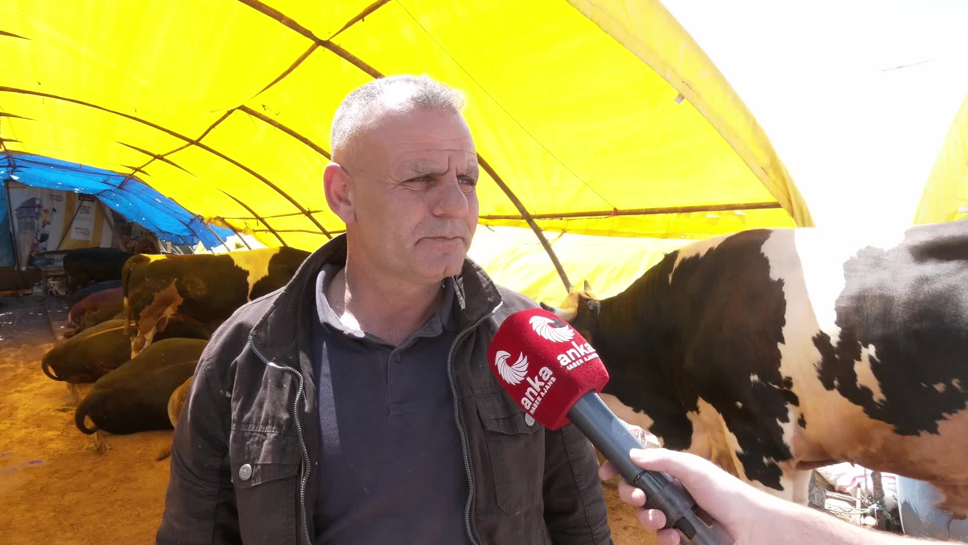 Keçiören Hayvan Pazarı’nda satışlar başladı: Üretici maliyetlerden, emekliler fiyatlardan şikayetçi