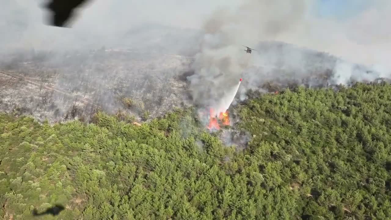 Muğla'da 3 ilçede orman yangını: Ekiplerin müdahalesi sürüyor