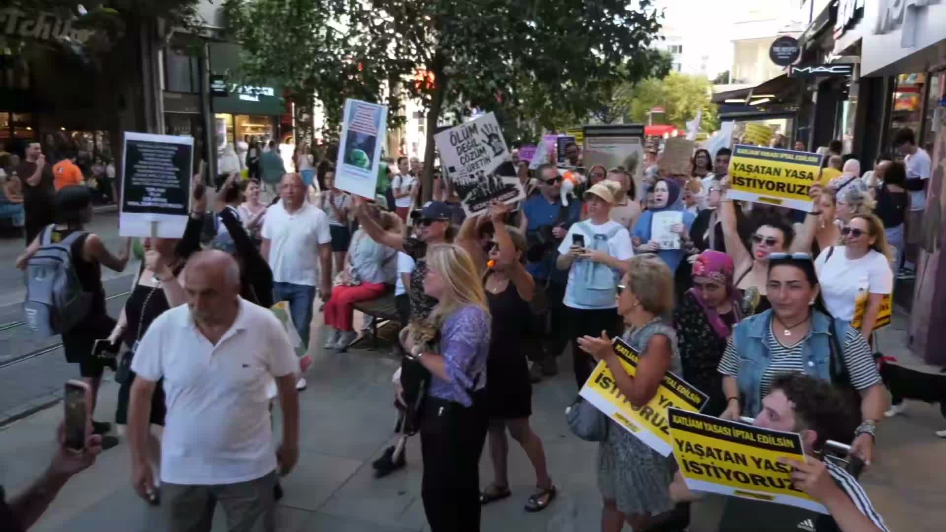 "Katliam yasası"nın ikinci yılında yaşam hakkı savunucuları Kadıköy'de eylem yaptı