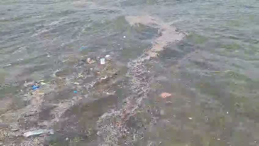 Marmaris Bördübet kıyısında deniz kirliliği tehlikeli boyutlara ulaştı