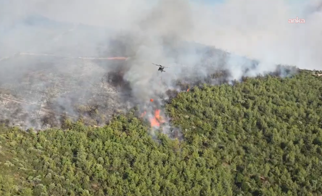 Muğla ve Manisa'daki orman yangınları kontrol altına alındı
