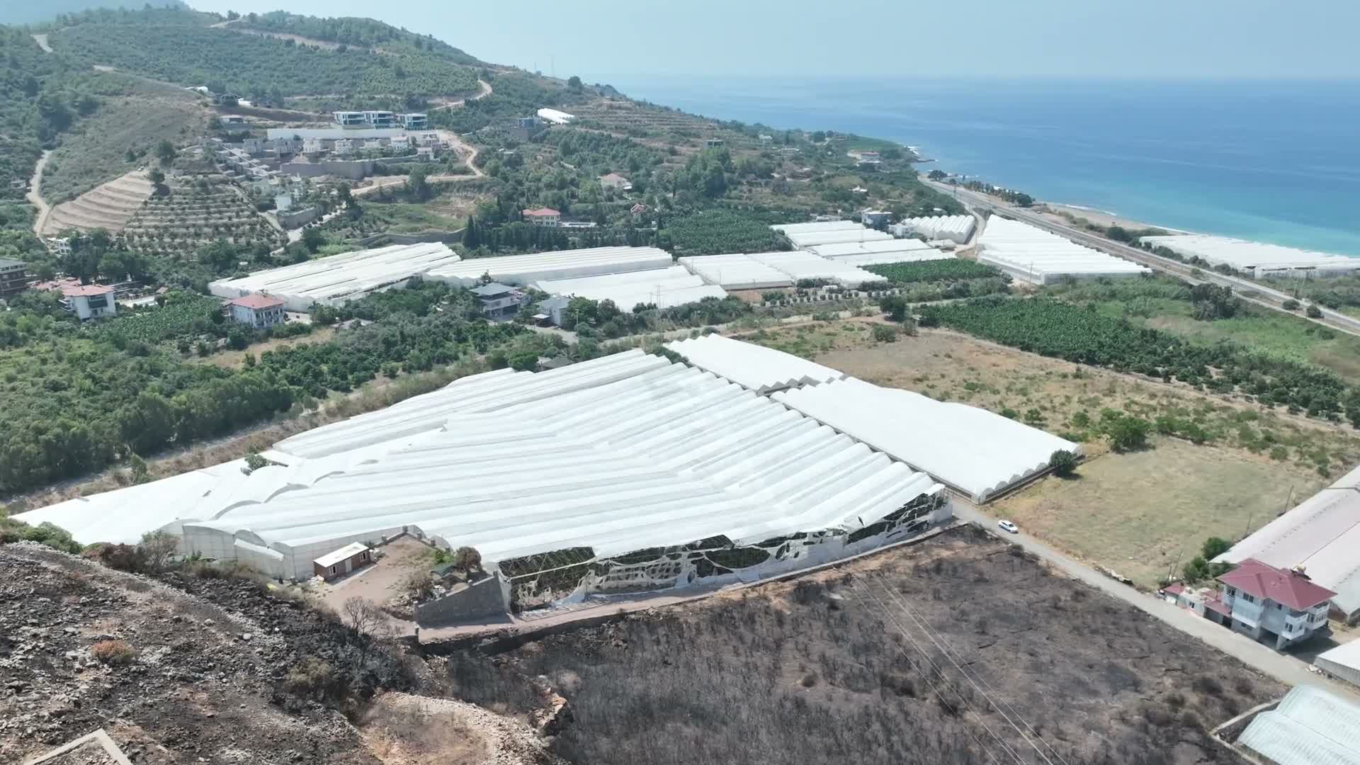 Antalya Büyükşehir Belediyesi'nden ilçelerde yangınlardan etkilenen üreticilere destek