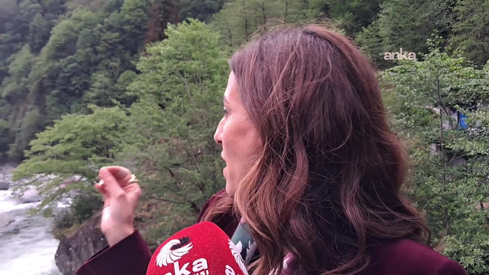 CHP'li Rızvanoğlu Arhavi'de: "Vahşi madenciliği kabul etmiyoruz"