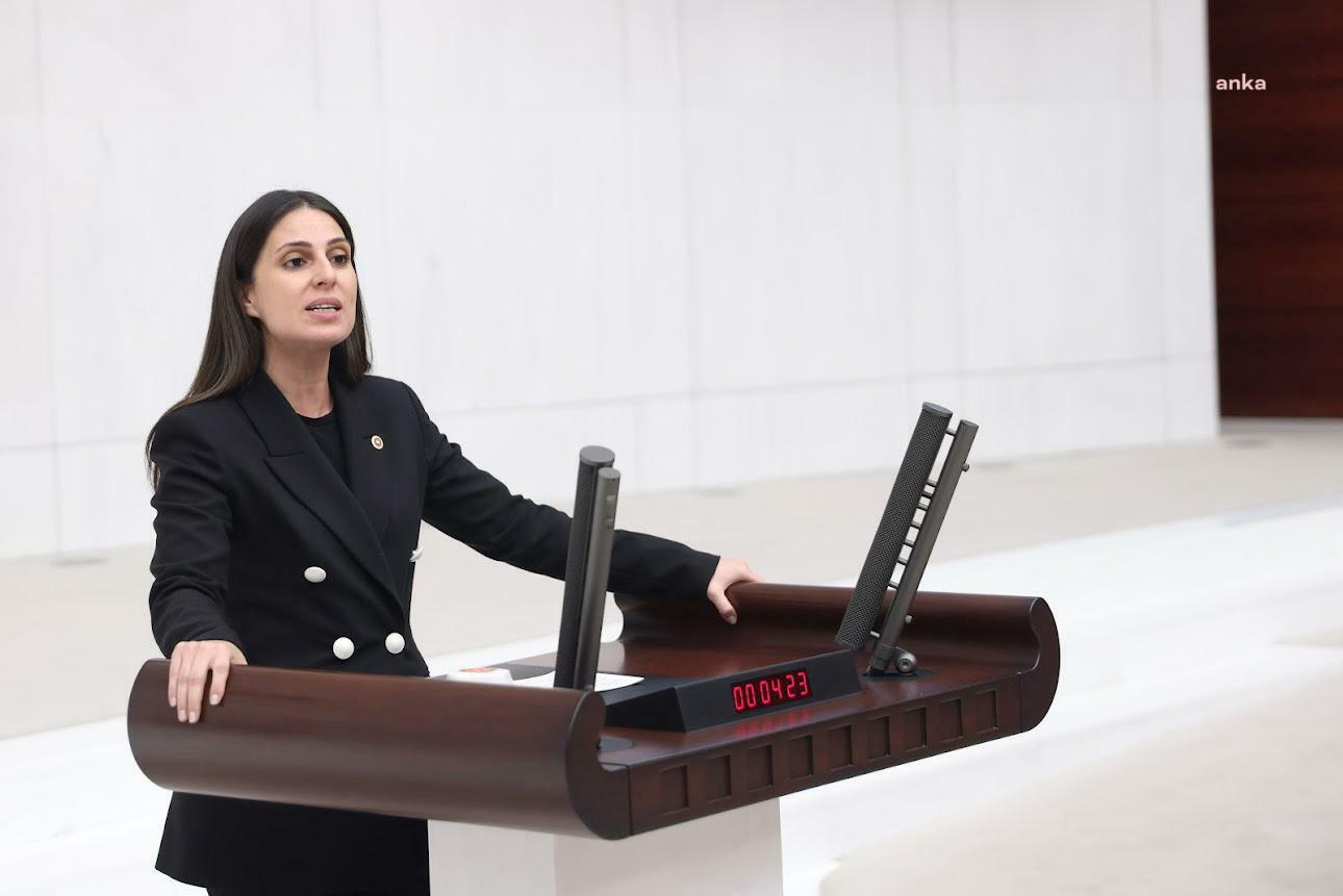 CHP'li Özcan'dan, Muğla'da kamulaştırmaya tepki: "Maden faaliyetlerinin sürdürülmesi gerekçesiyle bölgenin geleceği oldubittiye getirilemez"