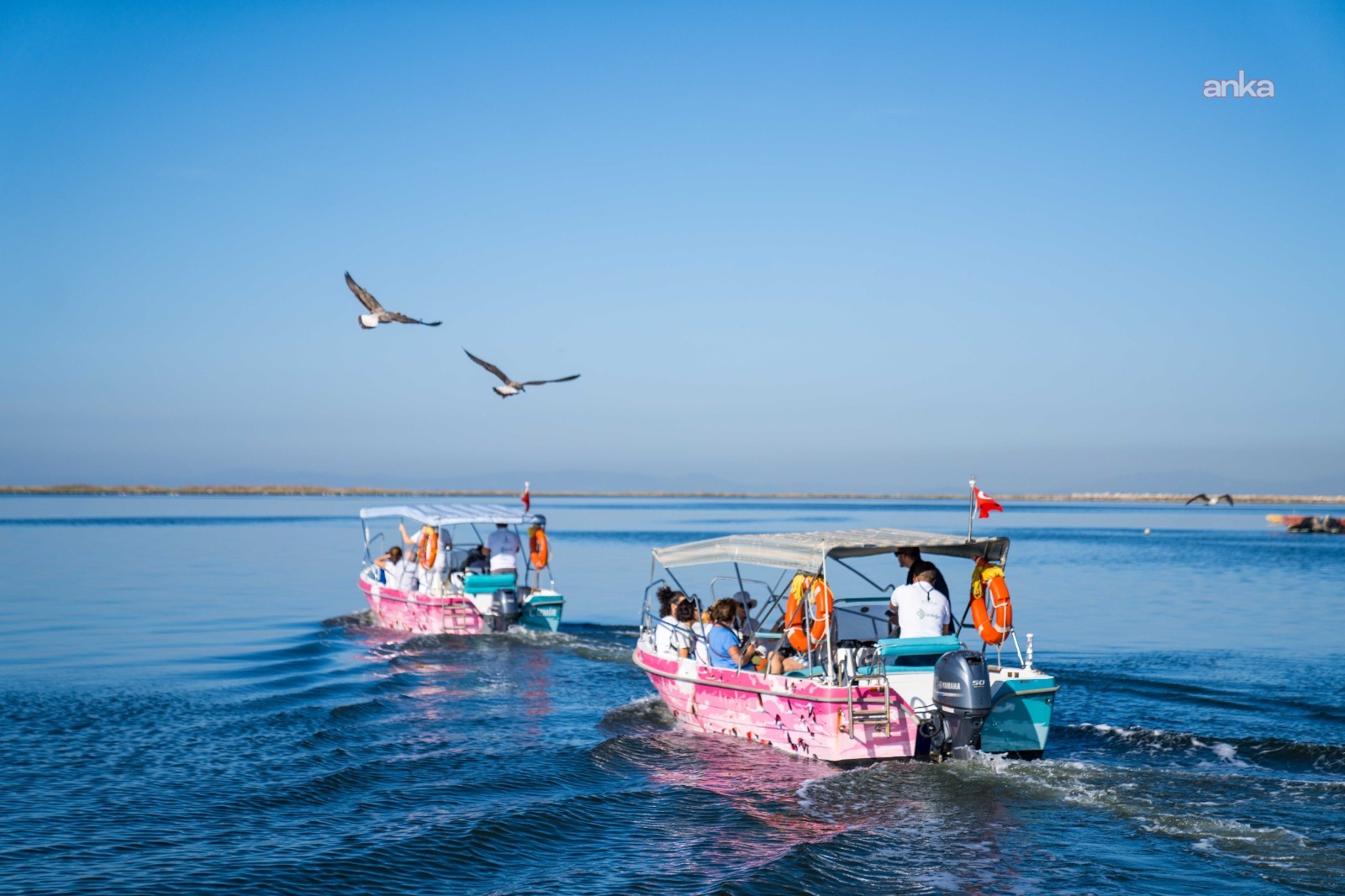 İzmir'de Flamingo Yolu Tekne Turları, bayramda da devam edecek