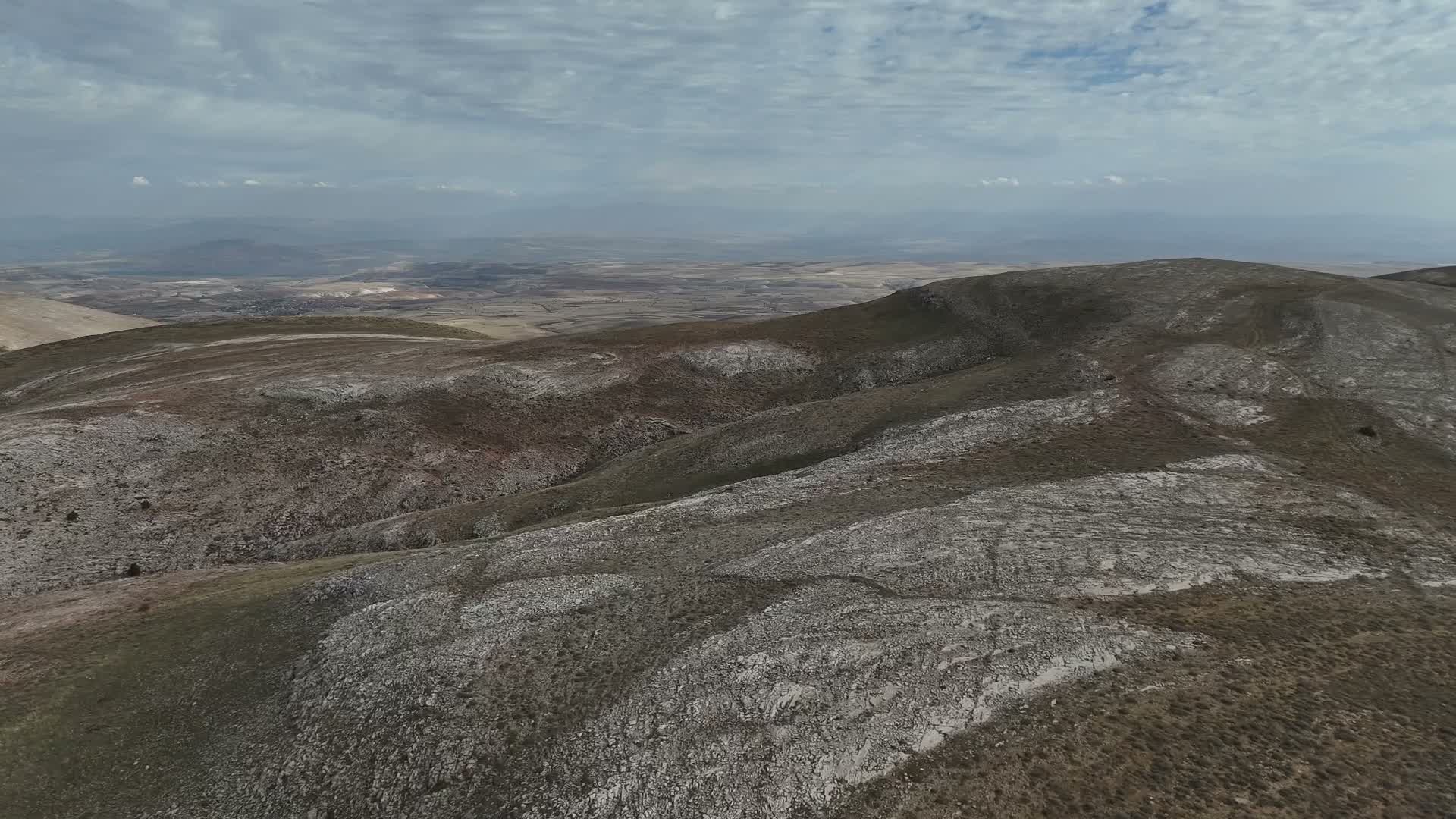 Yozgat’ta 70’e yakın yılkı atı için koruma mesaisi