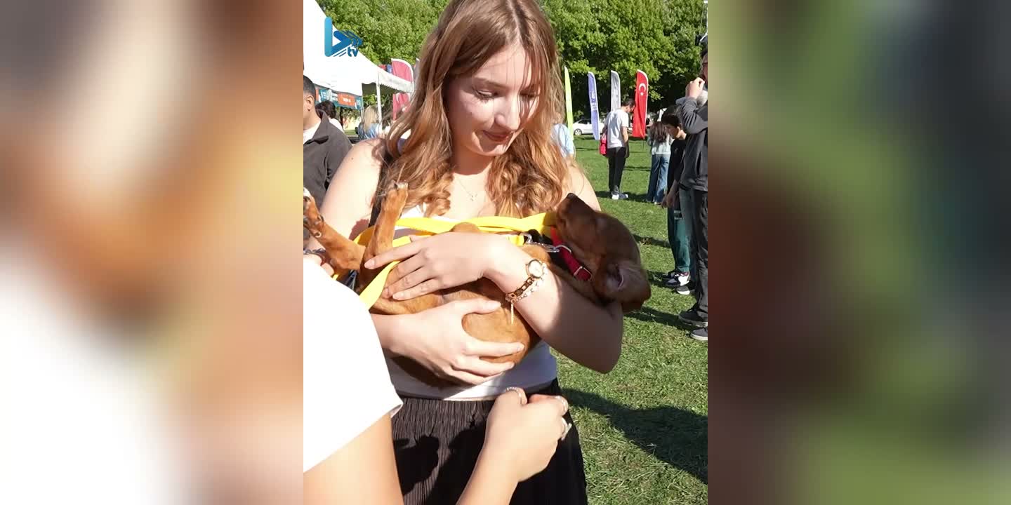 Bursa’da 92 can dost yeni yuvasına kavuştu