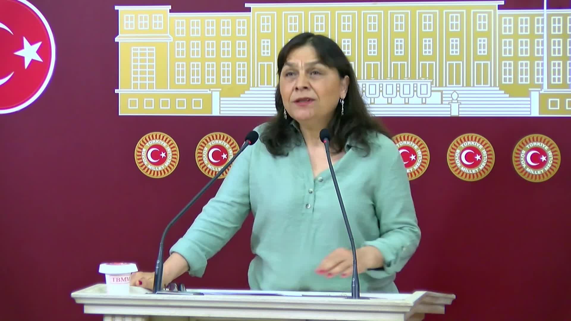 Özgül Saki'den İstanbul için su krizi uyarısı: "İçme suyu ihtiyacını karşılayacak yapılar tamamen şirketlerin insafına terk edildi"