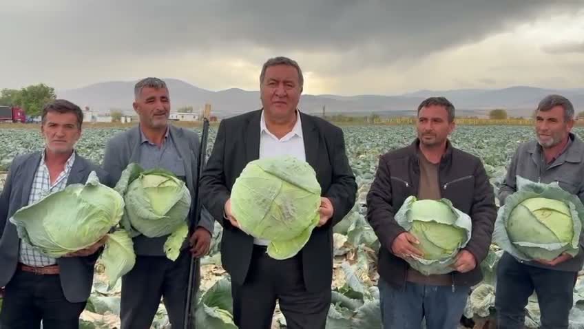 CHP'li Gürer, lahana üreticisinin sorunlarını dinledi: "Geçen yıl 70 liraya kadar satılan lahana bu yıl 30-35 liraya alıcı bulmakta zorlanıyor"