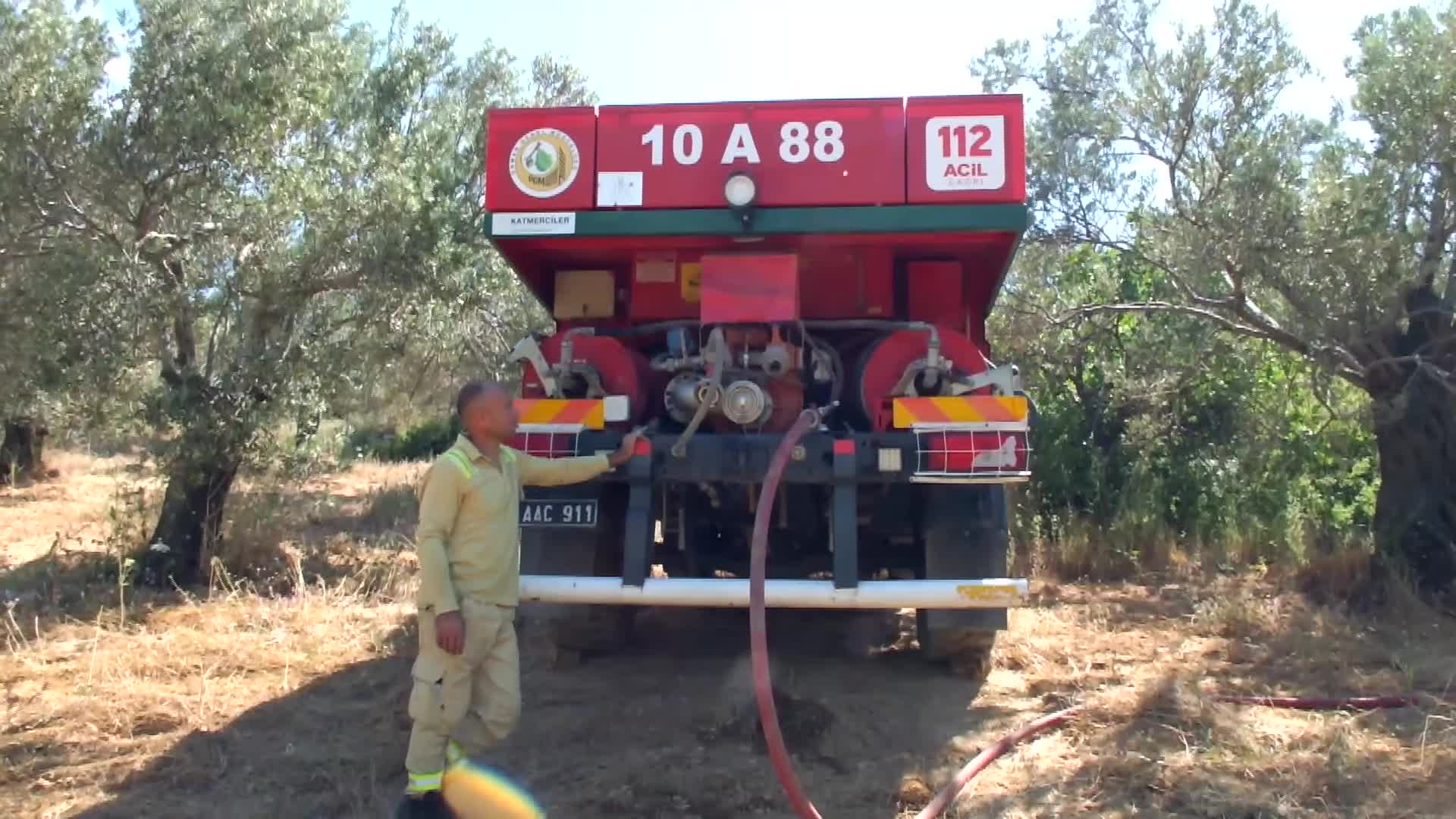 Balıkesir’deki yangında çok sayıda zeytin ağacı zarar gördü