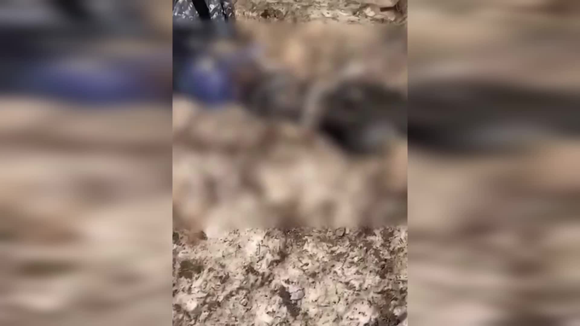Şemdinli kırsalında siyah poşet içerisinde ceset bulundu