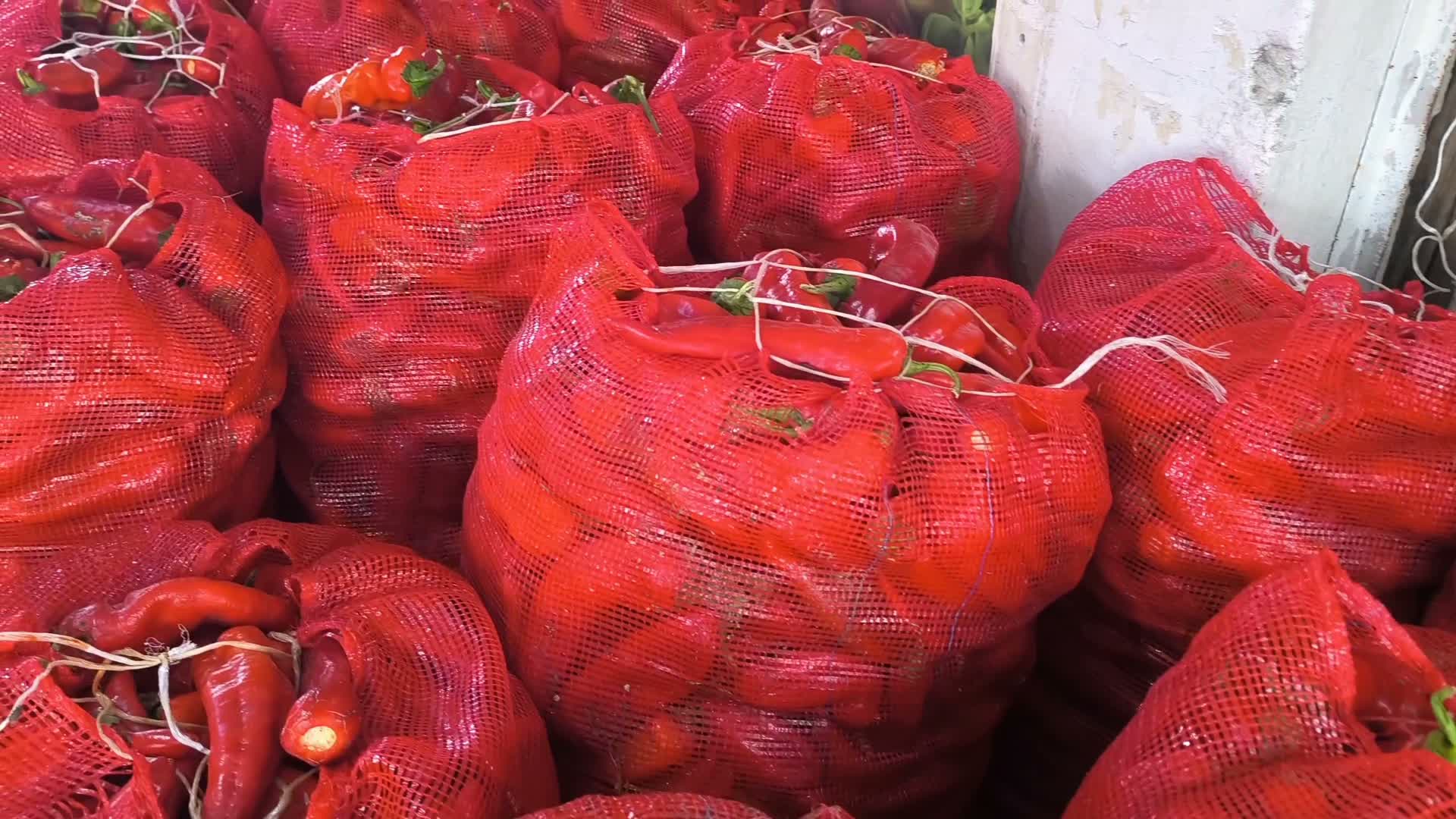 Salçalık biber cep yakıyor