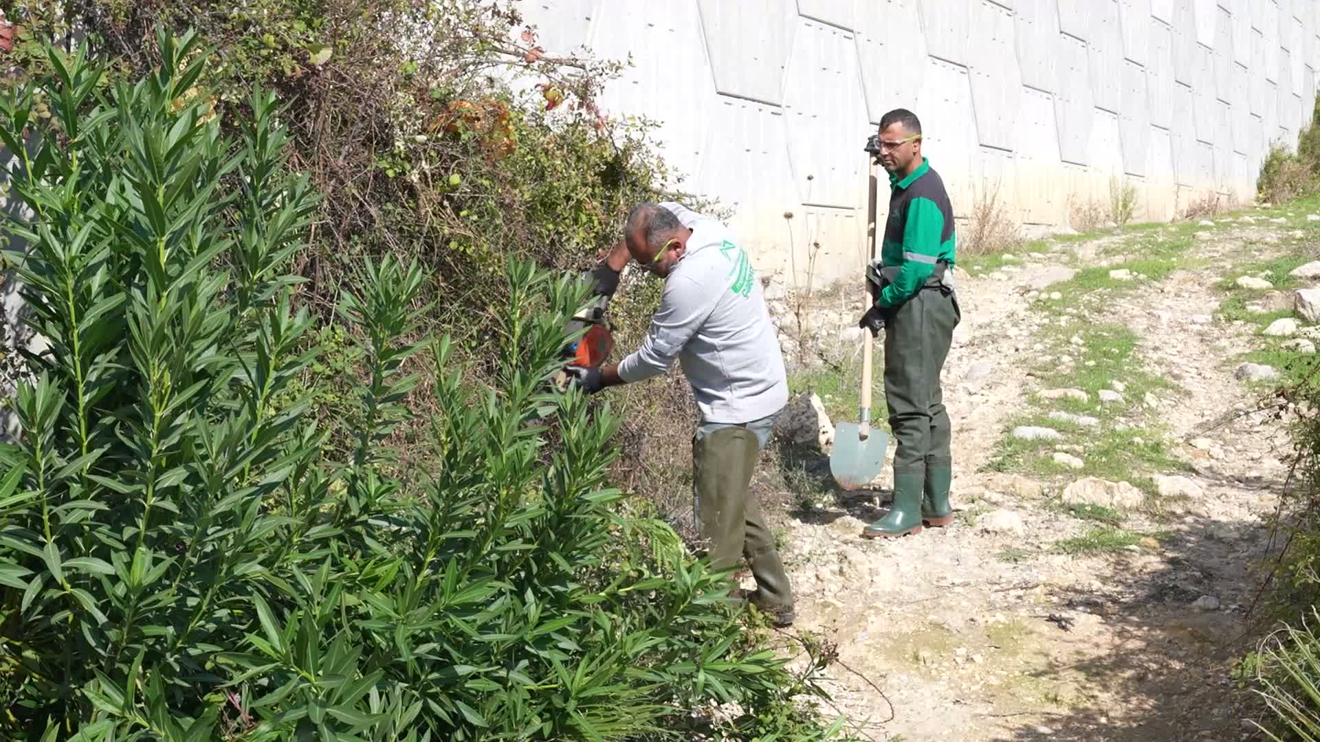 Mersin Büyükşehir Belediyesi'nden 13 ilçede 134 araç ve 505 personelle ilaçlama çalışması