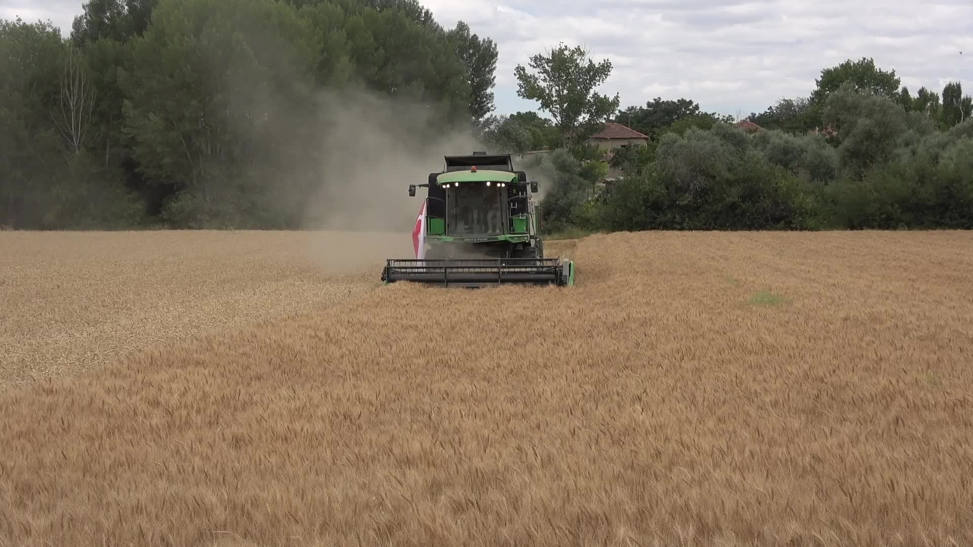 Yozgat’ta hububatta yüksek rekolte bekleniyor