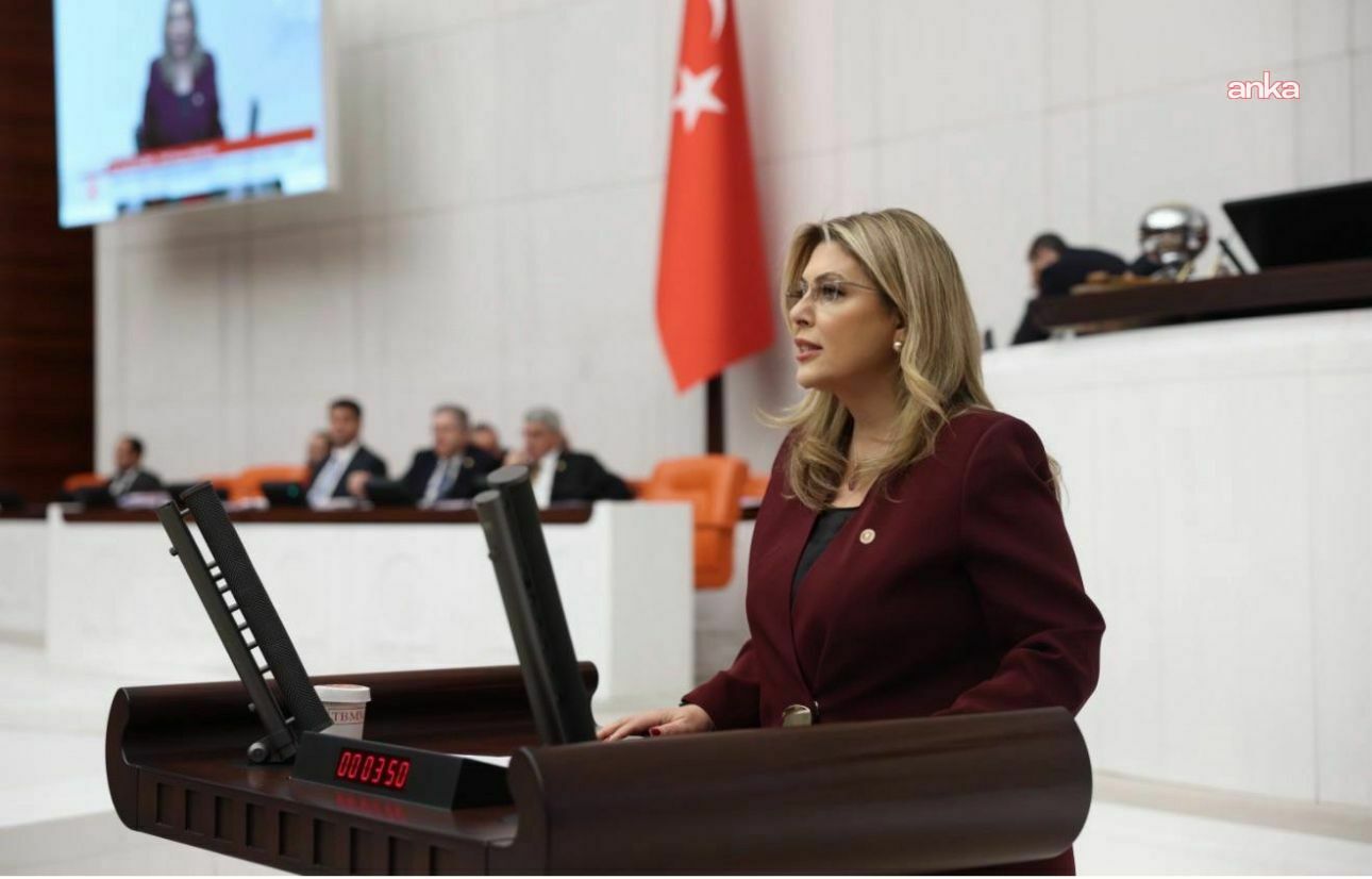 CHP Giresun Milletvekili Gezmiş, 14 Mayıs Eczacılık Günü dolayısıyla eczacıların sorunlarını TBMM'ye taşıdı