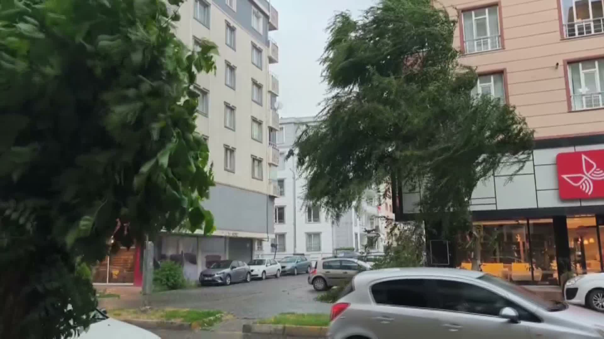 Iğdır’da ani fırtına ve sağanak hayatı olumsuz etkiledi