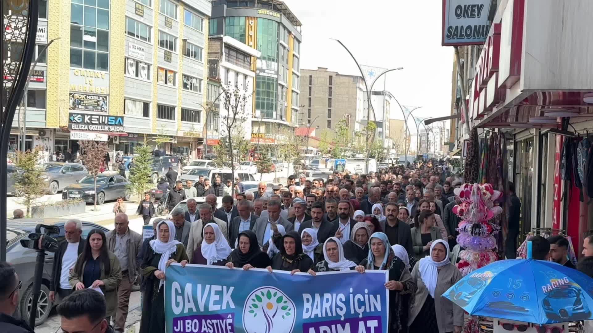 DEM Parti'den Yüksekova'da yürüyüş: Sorumluluk alın, barış için adım atın